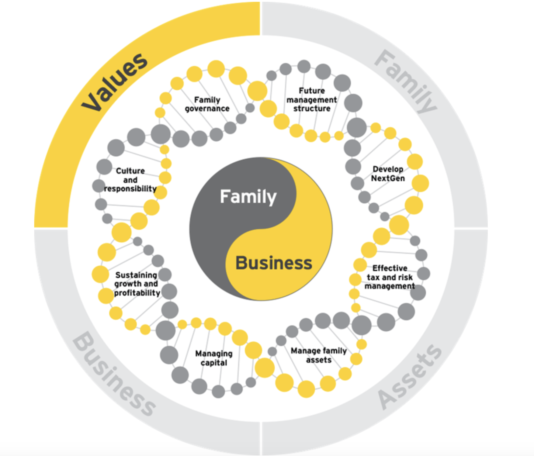 infografica famiglia e business