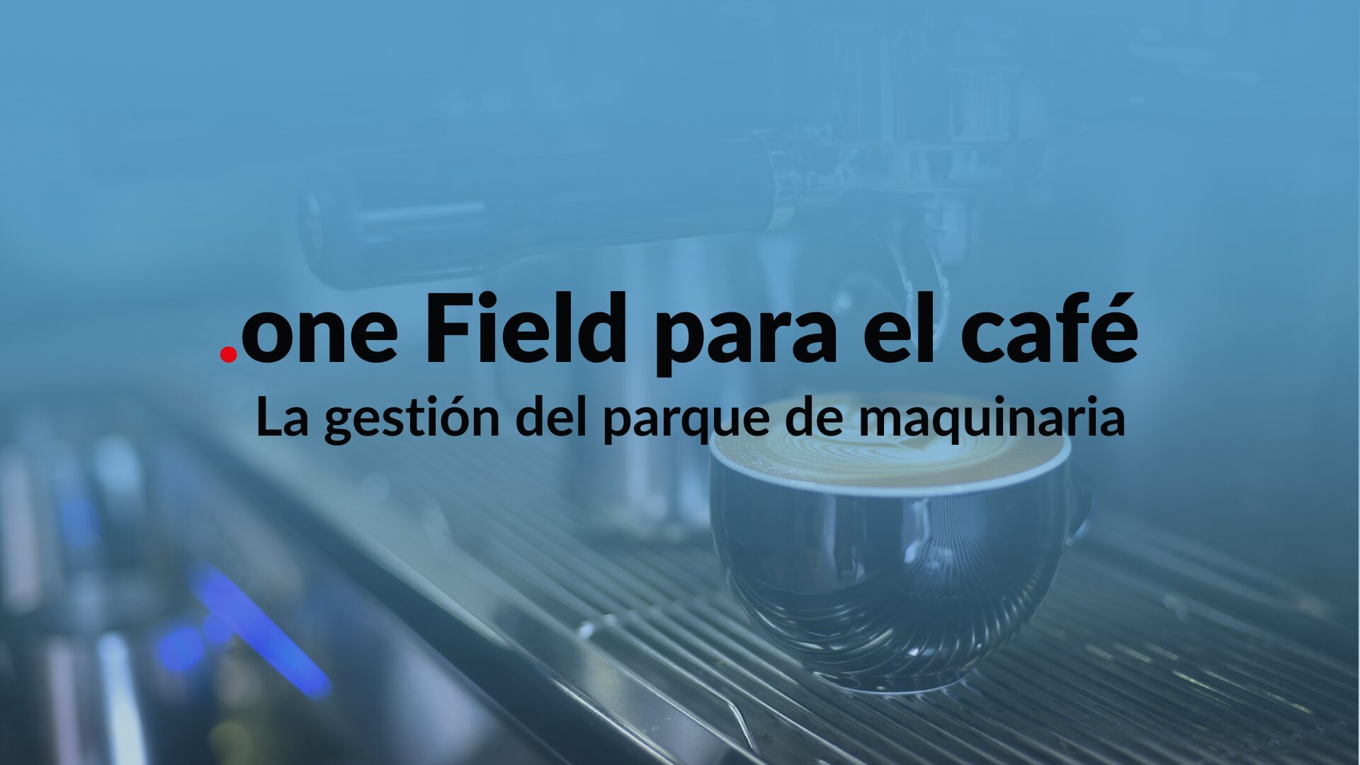 gestión de la flota de vehículos
