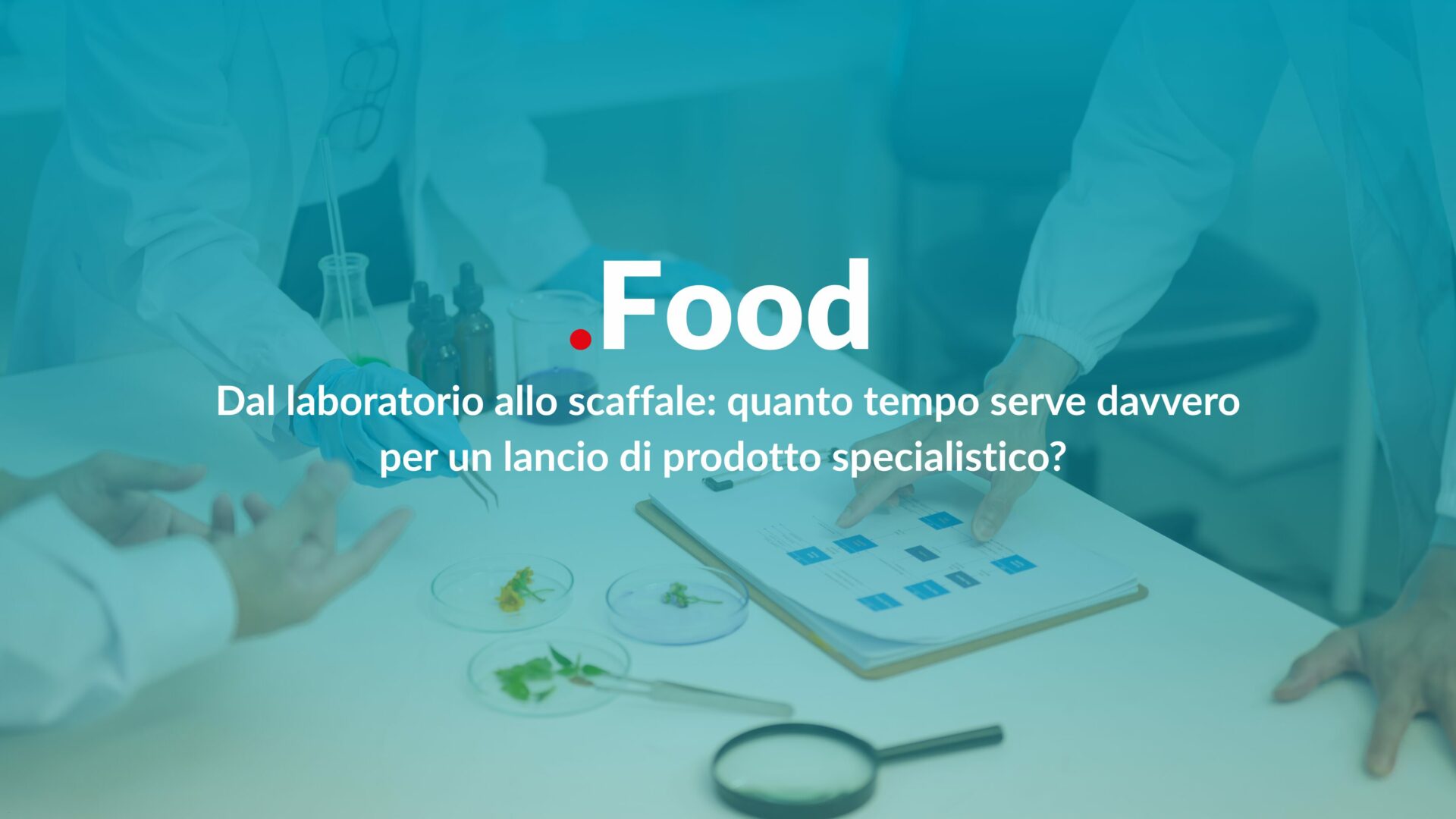time-to-market food